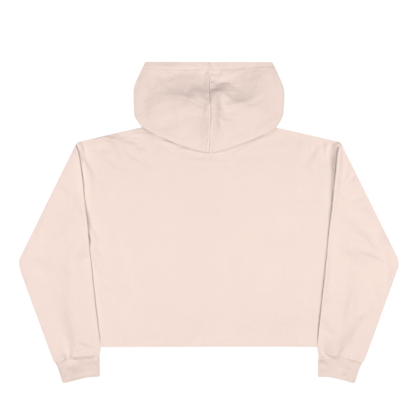 Future Wifey - Crop Hoodie